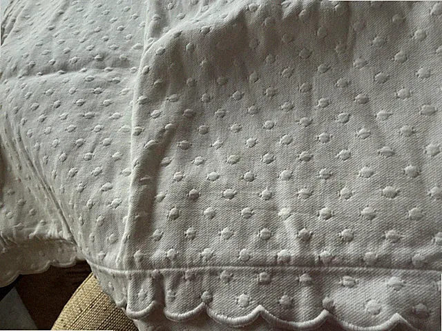 1 Pottery Barn Polka dot matelasse standard sham white New wo tags