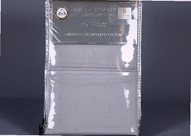 2 BERGEN HOUSE GREY POLKA DOT 100% Egyptian Cotton 1000TC Standard Pillowcases