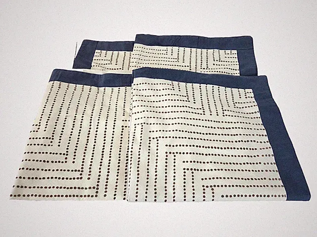 Euro Pillow Sham Covers Standard Cotton Blue Border Brown Polka Dots Set of 4