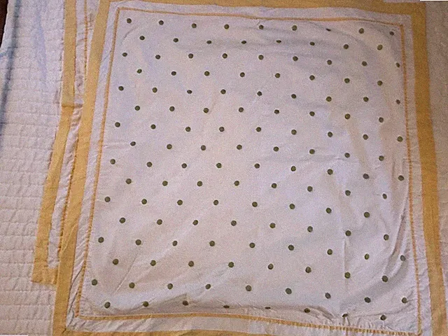 Pottery Barn Kids Embroidered Green Polka Dots Set OF 2 Euro Pillow Shams 30”
