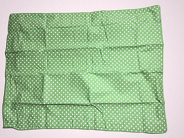Pottery Barn Kids Green White Mini Dot Polka White Dot Standard Sham New
