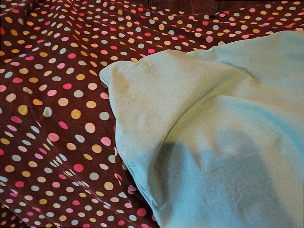 Pottery Barn PB Teen Polka Dot Brown Corduroy Duvet for Full Double Queen Bed