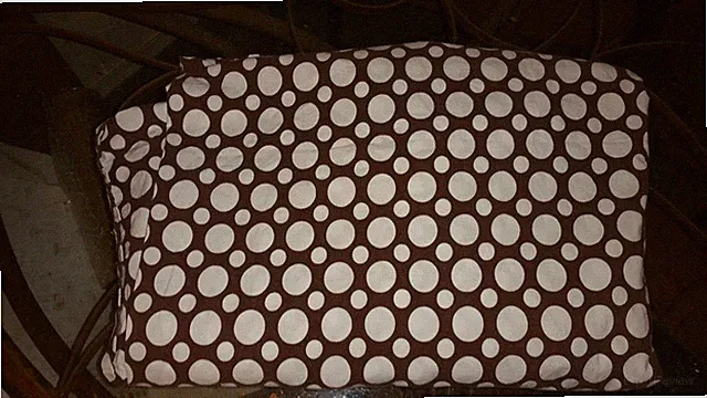 Pottery Barn Teen "Chocolate Brown Polka Dots" Twin Flat Sheet