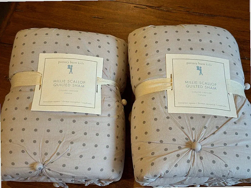 Set of 2 Pottery Barn Kids Millie Polka dot Scallop 2 EURO shams Purple New