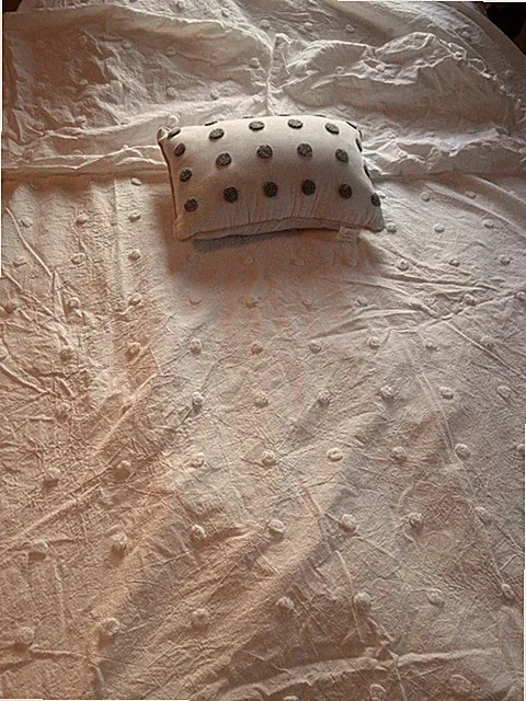 Urban Habitat Full/Queen Cotton Duvet Cover Set Polka Dot Chenille Off White